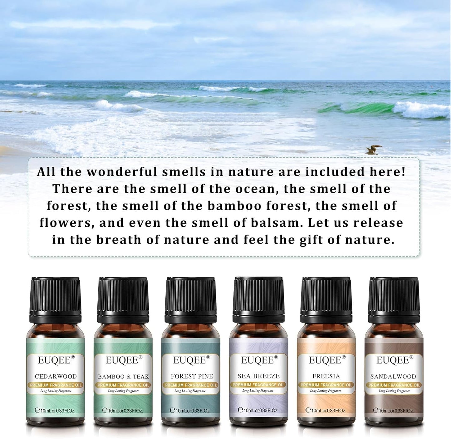 EUQEE Floral Essential Oils Set of 6 Pure Essential Oil Gift Set for Diffusers, Candle Making - Lavender, Rose, Ylang Ylang, Jasmine, Geranium, Chamomile Aromatherapy Oils - 10ml